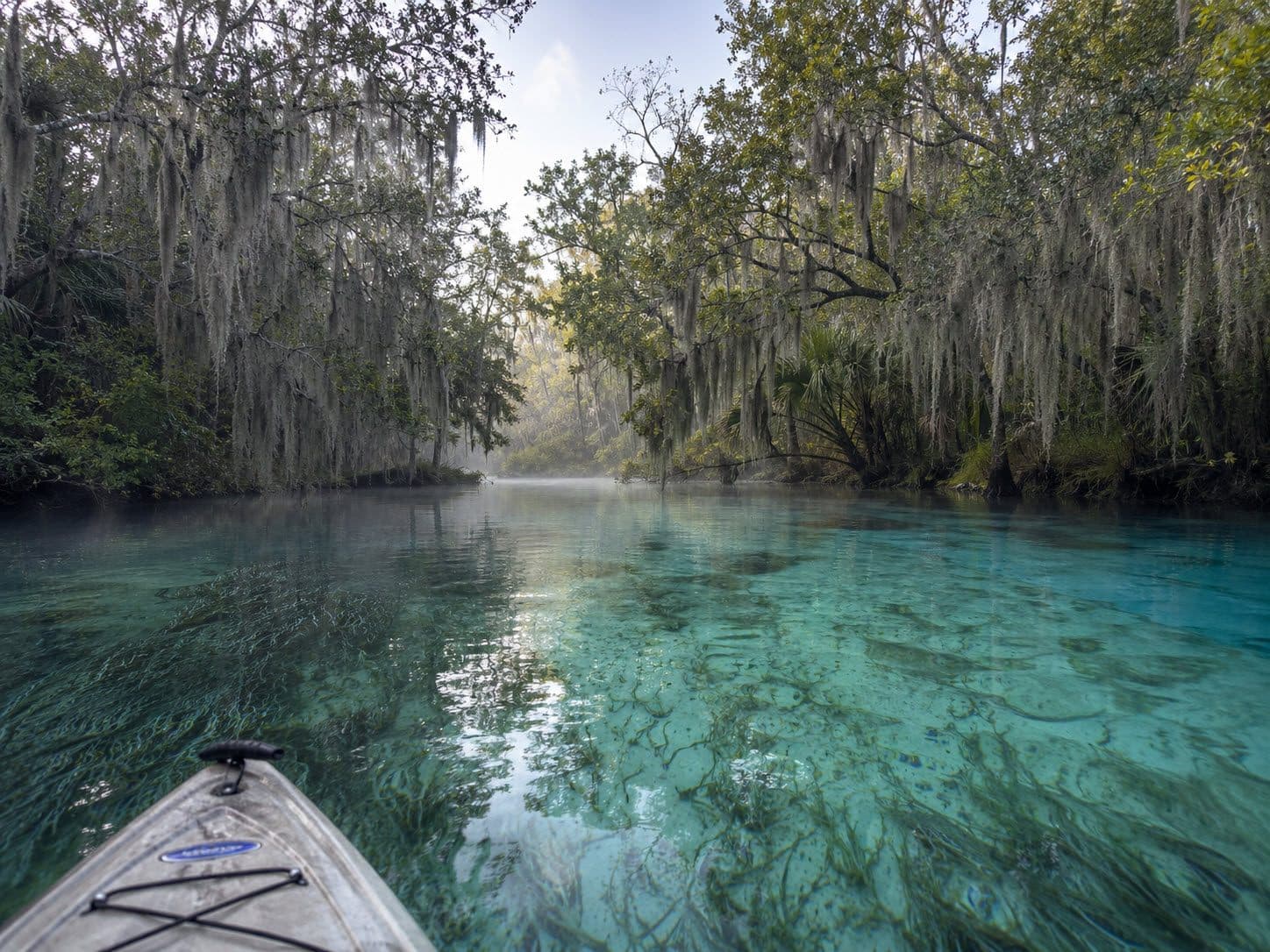 A spring-fed Florida river seen from a kayak, clear water over eelgrass with moss hung trees along both banks
